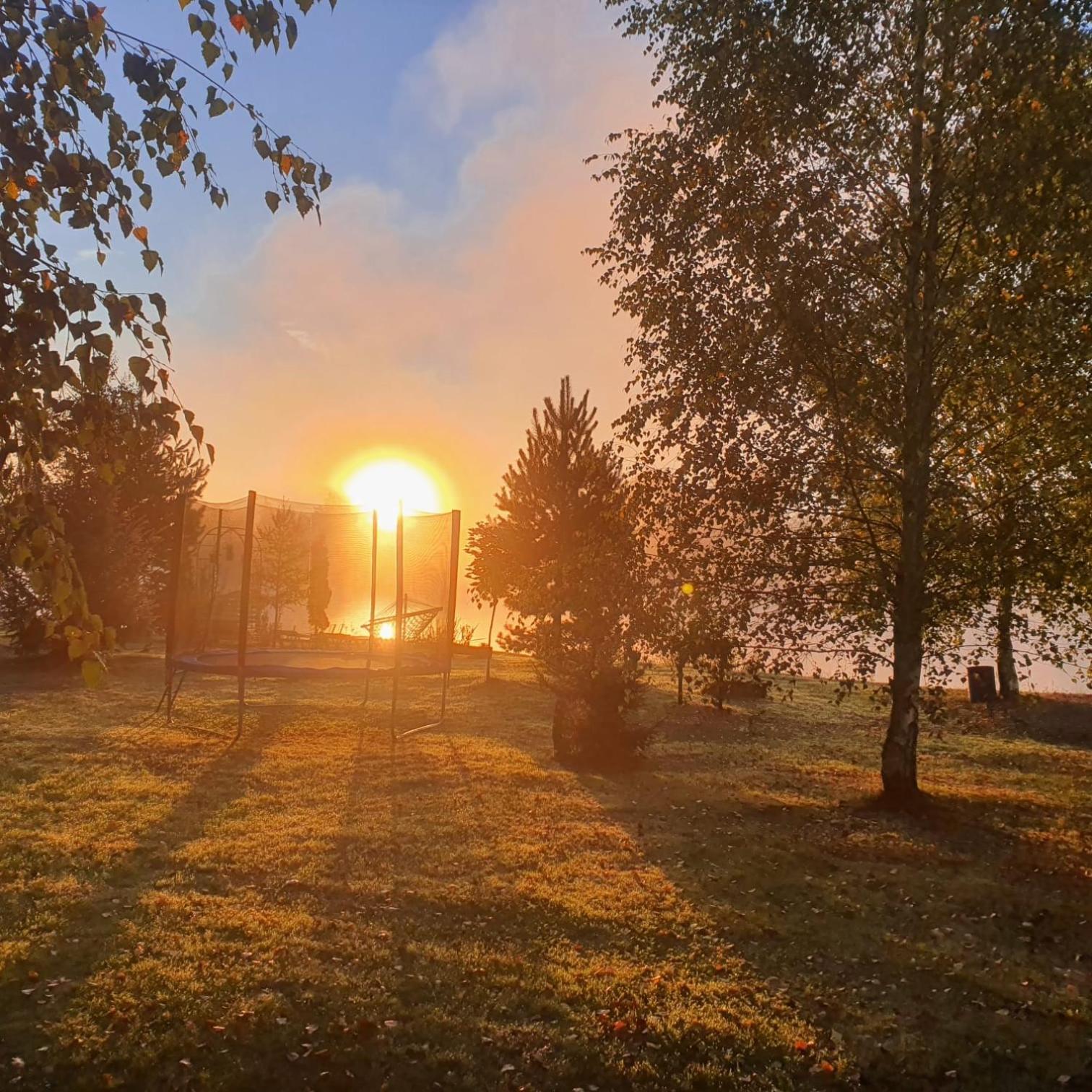 Перлина Буковини Lipovans Экстерьер фото