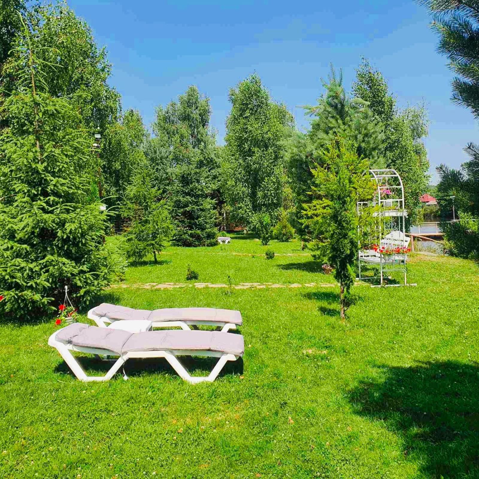 Перлина Буковини Lipovans Экстерьер фото