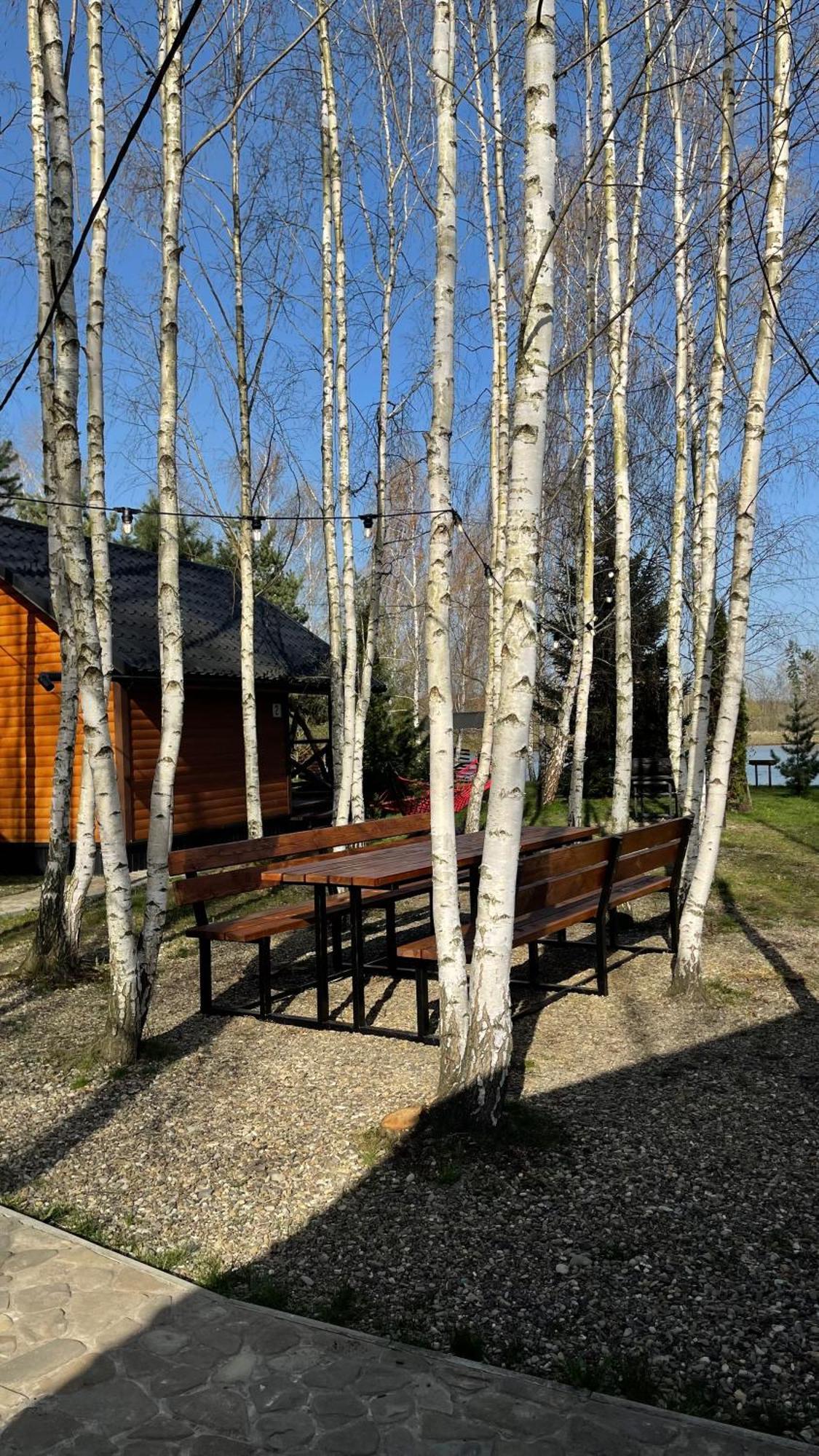 Перлина Буковини Lipovans Экстерьер фото